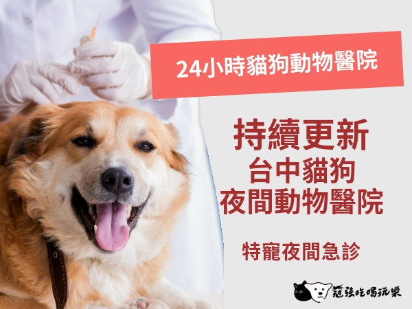 寵物電商醫療專業型內容示意圖