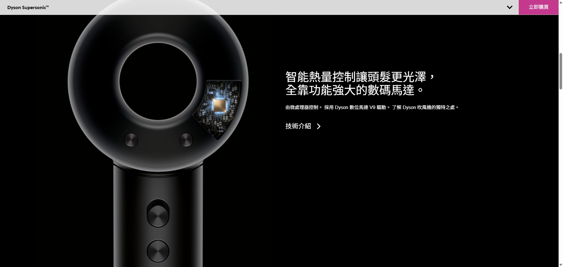 Dyson官網