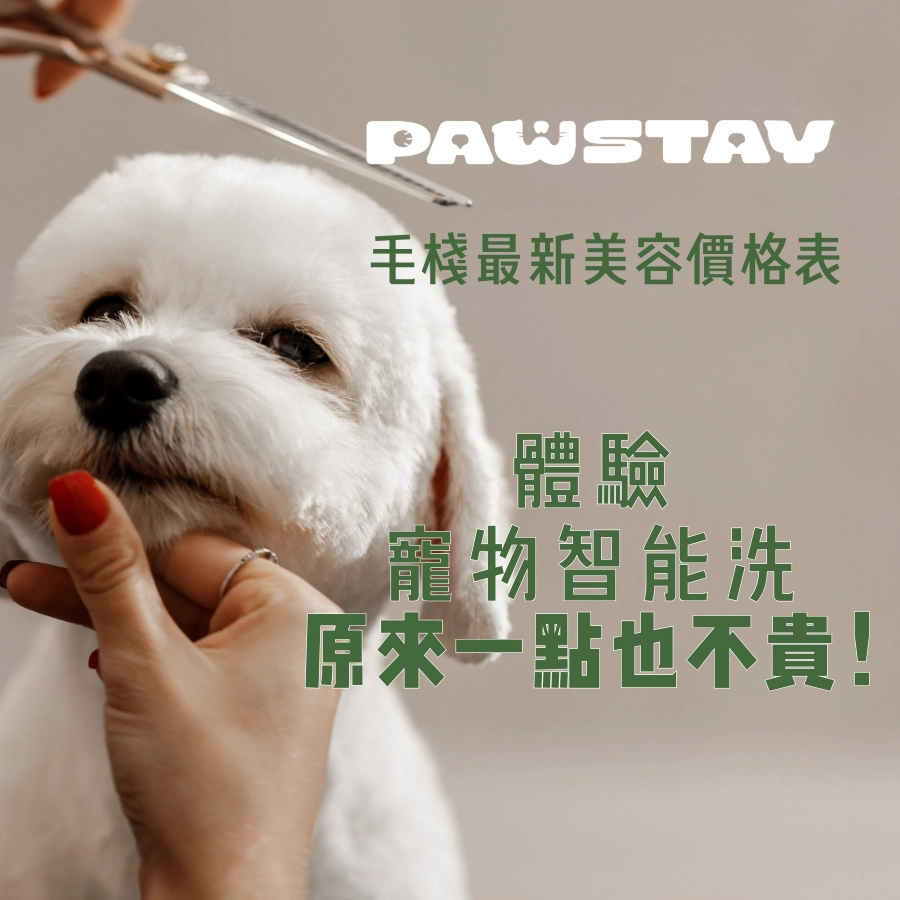 毛棧｜寵物美容